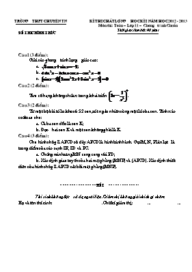 Đề thi chất lượng học kì I năm học 2012 - 2013 Môn thi Toán  Lớp 11  Chương trình Chuẩn